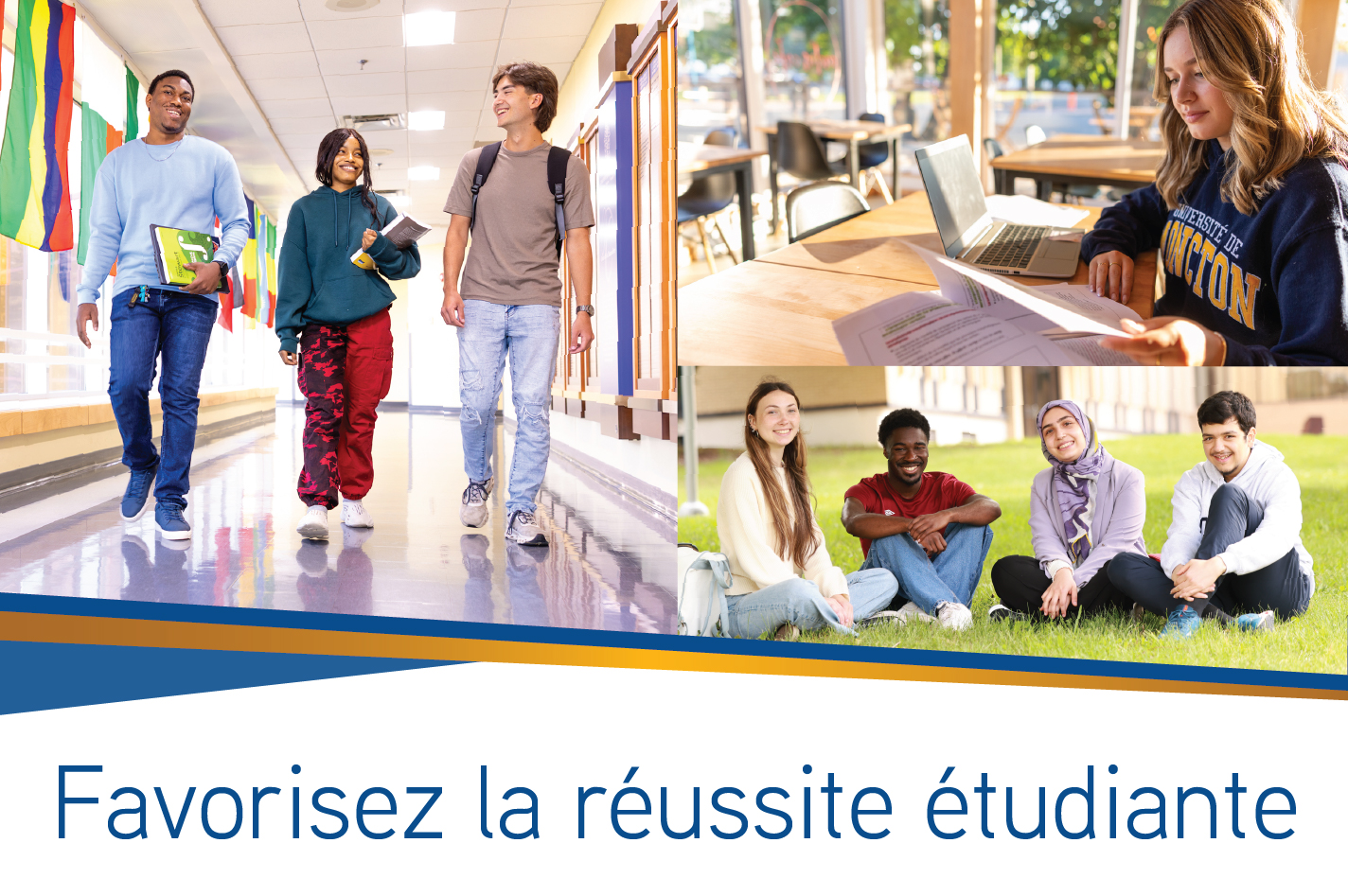 Campagne annuelle des alumni