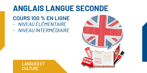 Formation anglais langue seconde