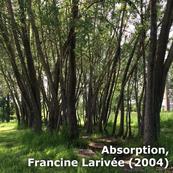 Absorption, Francine Larivée (2004)
