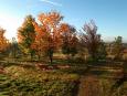 Autumn in the Ecological Park, during the 2004 symposium. Art: Guéganne