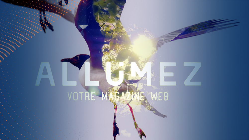 ALLUMEZ