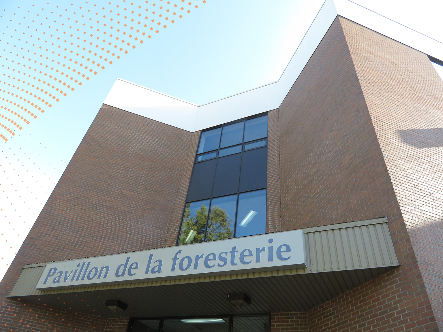 École de foresterie