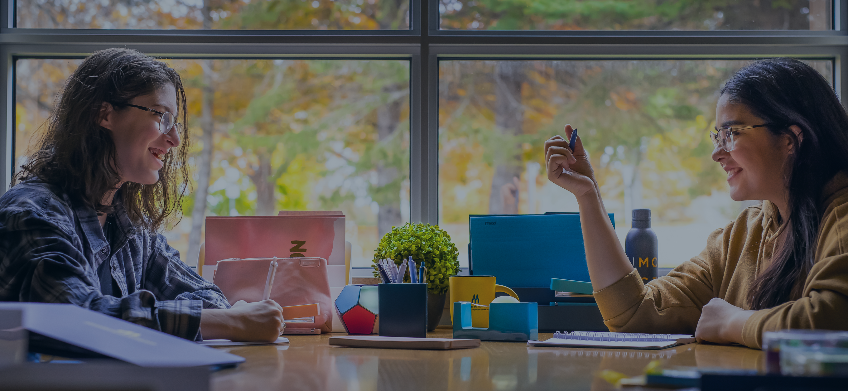 Exprience étudiante