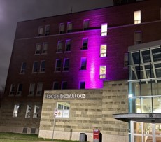 Canada, nouveau-brunswick, moncton, université de moncton, #umoncton, université, études, baccalauréat, maitrise, doctorat, diplôme, programme, comité, femmes, égalité, violence