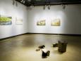 Vue de l'installation / installation view