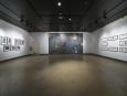 Vue d'ensemble / installation view