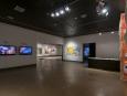 Vue d'ensemble / installation view