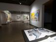 Vue d'ensemble / installation view