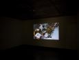 Monkey & Deer (vue de l'installation / installation view), Graeme Patterson, 2005