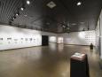 Vue d'ensemble / installation view