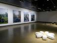 Vue de l'installation / installation view