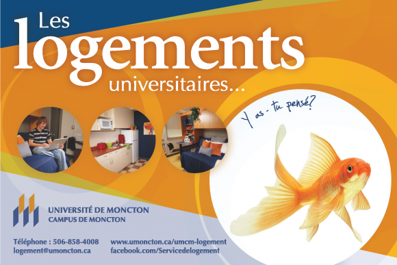 Les logements universitaires