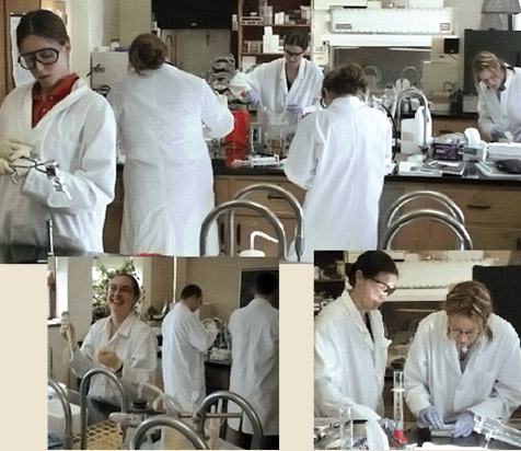 laboratoires d'enseignement en biochimie