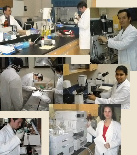 laboratoires de recherche en biochimie