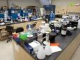 Laboratoire de la Chaire de recherche du Canada en métabolisme cellulaire des lipides au A-027